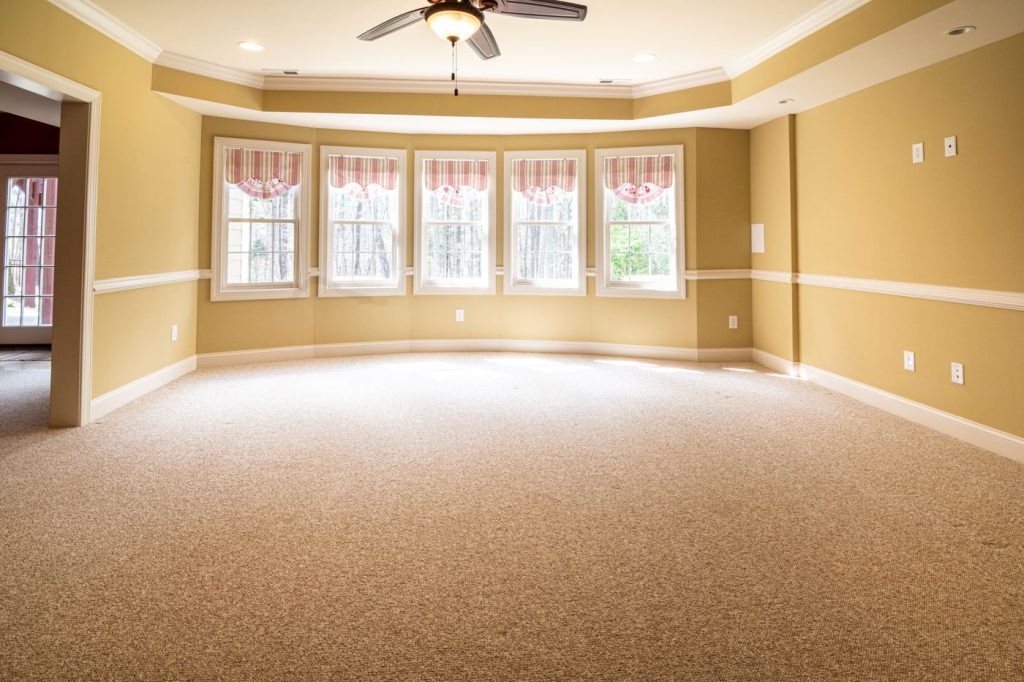 Bright empty room with new wall-to-wall carpet and large windows